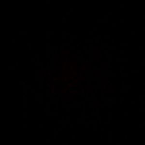 Meet your Posher, Steph